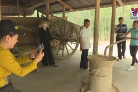 Wellness, waterway being HCM City’s key tourism offerings