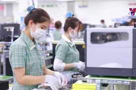 Vietnam attractive to foreign investors: Austrian newspaper 