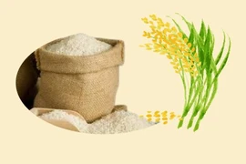 Rice exports up 40% in Q1