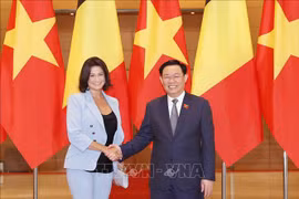 NA Chairman holds talks with Belgian Senate President