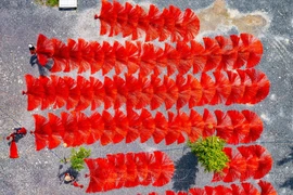 Hundred-year-old mat village in Mekong delta