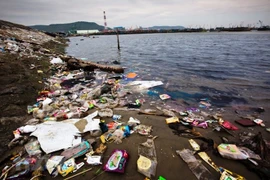 Int’l cooperation to combat plastic pollution in East Sea