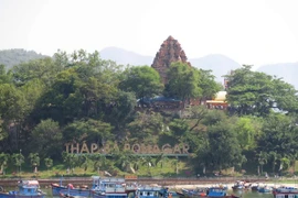 Thousands of pilgrims attend Ponagar Temple Festival