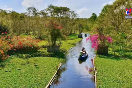 Mekong Delta has 10 more typical tourist destinations