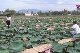 Community-based tourism thriving in Ninh Thuan