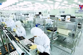 OECD forecasts Vietnam’s economic growth at 6.5% in 2023