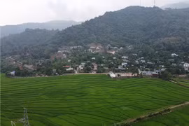 Land policy legislation sets the stage for green transformation to take off