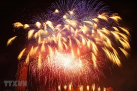 Vietnamese Tet inspires foreigners