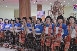 Culture Day brings ethnic culture closer to younger people