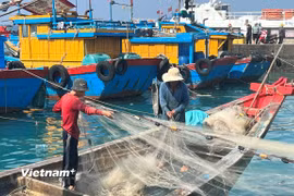 Government continues urging localities to fight IUU fishing