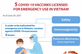 Five Covid-19 vaccines approved for emergency use in Vietnam