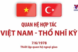 45 years of Vietnam - Türkiye building cooperative bridges