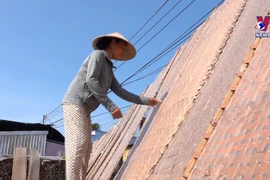 200-year-old rice paper village named national heritage