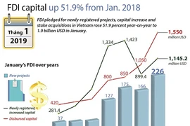 FDI up 51.9% from Jan. 2018