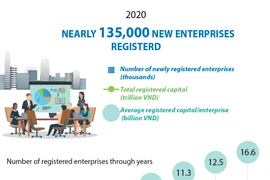 Nearly 135,000 new enterprises registered in 2020