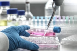 Singapore urges better stem cell bank supervision