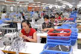 The factory of the Star Fashion Co. Ltd, producing garment for export, in the Phu Nghia Industrial Park in Hanoi's Chuong My district (Photo: VNA)