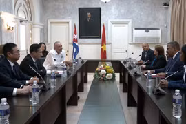 A delegation from the Supreme People’s Court led by its Deputy Chief Justice Nguyen Van Tien holds a working session with Chief Justice of the Supreme People's Court of Cuba Rubén Remigio Ferro (Photo: VNA)