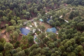 Hanoi’s forest coverage has reached 5.59%, mainly in Ba Vi, Soc Son, My Duc, Chuong My, Quoc Oai and Thach That districts and Son Tay town. (Photo: VNA)