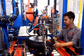 Da Nang focusing on developing hi-tech, supporting industries