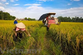 Minister: Vietnam looks towards sustainable agriculture