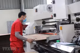 Bac Ninh sees rise in number of newly-established firms 