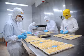 Vietnam’s shrimp exports rake in 1.7 billion USD H1