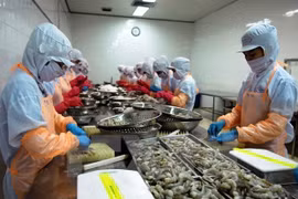 Agro-forestry-fisheries export hits 35.5 billion USD in nine months
