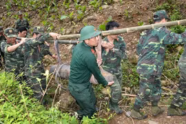 Vietnam prioritises protecting rights of bomb and mine victims: official