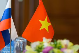 Vietnam fosters cooperation with Russian political parties