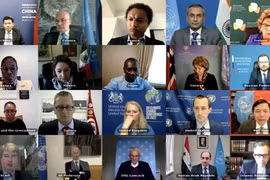 Ambassador reviews Vietnam's month-long UNSC Presidency