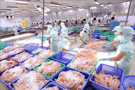 Aquatic product exports up 3 percent in Q1