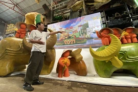HCM City hosts numerous activities during Tet holiday