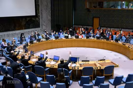 Vietnam appeals for promoting talks, trust building in Syria