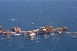 PetroVietnam’s oil and gas output hit 9.97 million tonnes in 11 months