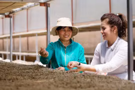 King Coffee announces project connecting farm produce suppliers