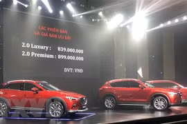 Vietnam’s CBU car imports in seven months surge despite COVID-19