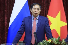 FM Bui Thanh Son meets Vietnamese community in Russia