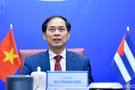 Vietnamese, Cuban deputy foreign ministers hold political consultation