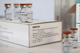 First batch of Sinovac vaccine arrives in Singapore, but it is not approved yet