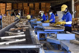 COVID-19 production suspension hampering timber exports
