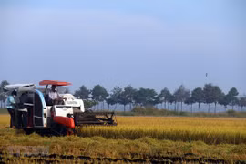 Vietnam holds first national dialogue on food systems 