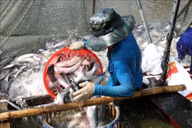 Aquatic exports rise 2.2 percent in two months