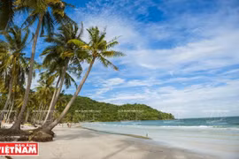 Phu Quoc inoculates entire population to revive tourism 