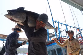 Vietnam becomes largest tuna exporter of Israel