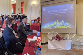 Minister calls on OVs to contribute more to homeland's development