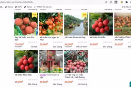 E-commerce platforms to be connected with tax agencies from next year
