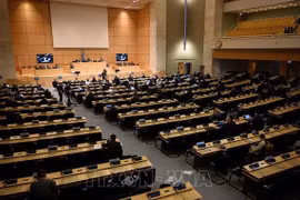 Ambassador affirms Vietnam’s consistent policy on promoting human rights