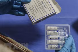 Sputnik V vaccine production factory to be built in Vietnam in one year