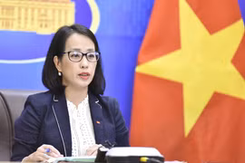 Vietnam strongly commits to responding to climate change